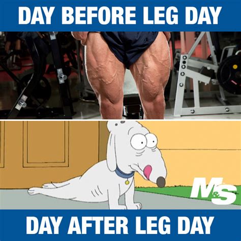 Hilarious After Leg Day Memes For People Who Really Train Legs Fitness