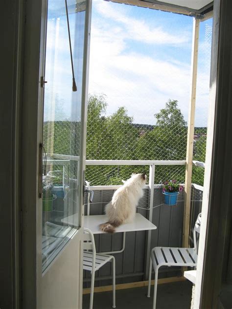 Cat Proof Balcony Uk Cat Vrt