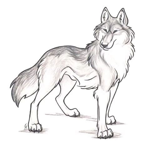 Pin By Night Firefly On волки Anime Wolf Drawing Dog Drawing Cute