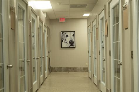 DELTADOG- Oxford, MS