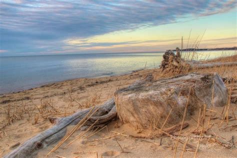 Entrance to terrapin beach park will be on your left. Terrapin Nature Park on Kent Island. = (Photo: Jennifer ...