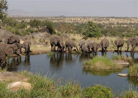 Classic Northern Tanzania safari | Audley Travel