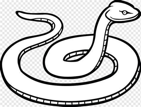 Download black mamba snake stock vectors. Desenhos De Animais Vertebrados desenhos de animais ...