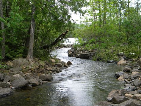 A river is a stream of water that flows through a channel in the surface of the ground. flowing river - CFMI
