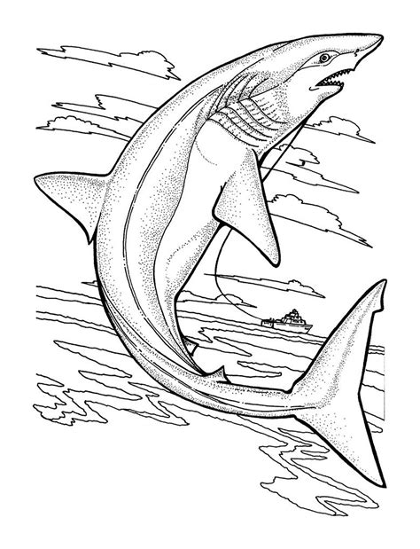 Free Printable Coloring Pages Sharks Customize And Print