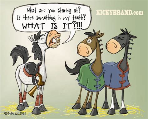 Pin On Horse Humor Or Just Good Words