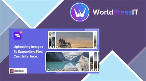 Wiloke Expanding Flex Cards For Elementor Worldpress It
