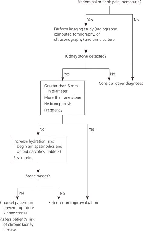 Nephrolithiasis Pathophysiology Diagram