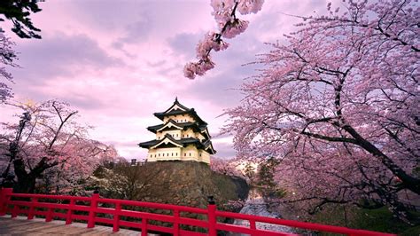 Get japan maps for free. Download Hirosaki castle Japan Full HD Wallpaper 1366x768 - HD Wallpaper - Wallpapers.net