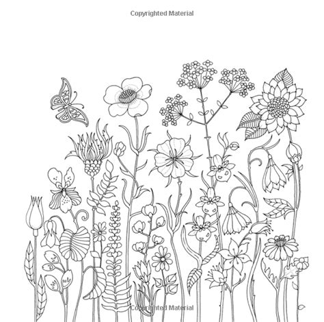 World of Flowers: A Coloring Book and Floral Adventure: Johanna Basford