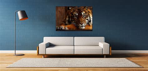 Resting Tiger Majestic Safari Wildlife Living Room Canvas Etsy