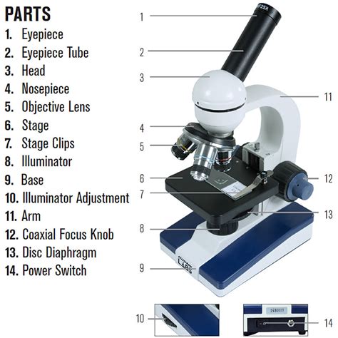Compound Microscope Lenses Names Micropedia