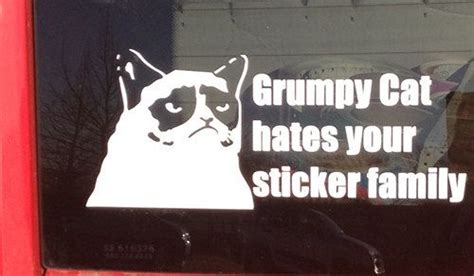Grumpy Cat Bumper Sticker Grumpy Cat Cat Bumper Stickers Cat Decal