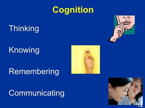 Psychology 102 Cognitive Processes