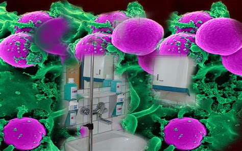 Methicillin Resistant Staphylococcus Aureus Mrsa By Administrator