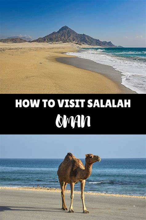 How To Visit Salalah And The Dhofar Region In Oman Travel Reporter