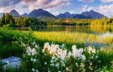 Tatra National Park Official Ganp Park Page