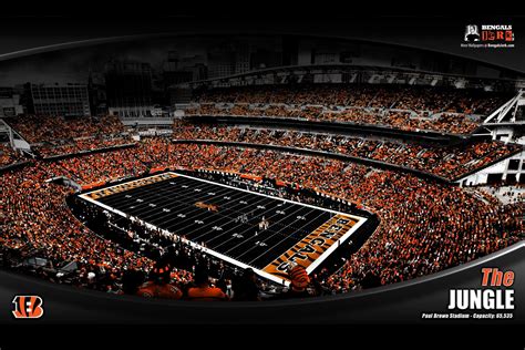 Maybe you would like to learn more about one of these? Bengals Wallpaper (75+ images)