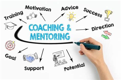 Coaching Vs Mentoring The Differences Between Both Terms In Detail