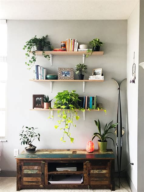Plant Wall Plant Shelves Book Shelf Inspo Home Decor Decorating