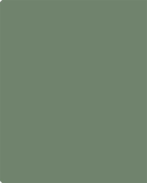 Green Aesthetic Solid Color Background Canvas Broseph