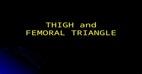 Thigh And Femoral Triangle Femoral Triangle Borders Borders Medial