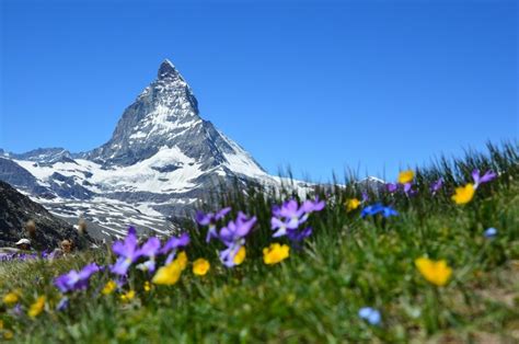 How do you open a swiss bank account? About us - Bank Account Swiss