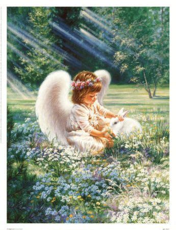 107 best images about Angels with animals on Pinterest | Discover more