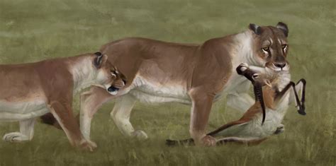 Panthera Spelaea The Cave Lion — The Extinctions
