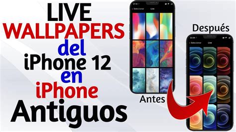 Iphone 12 Live Wallpapers En Cualquier Iphone 🤯 Youtube