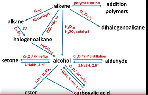 Organic Chemistry Reaction Pathways Diagram Quizlet