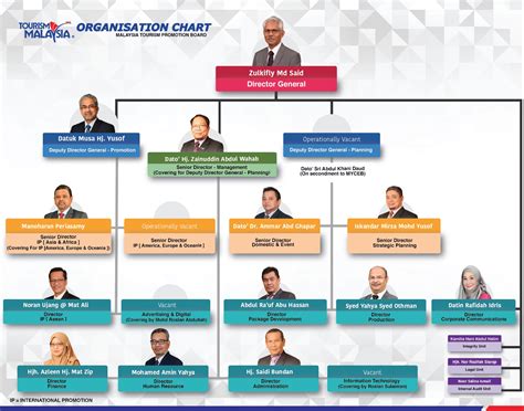 Tnb Organization Chart