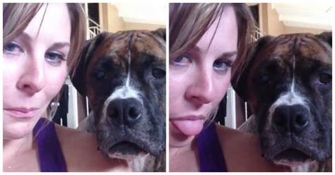 She Sticks Out Her Tongue For The Camera What Her Boxer Does Next Will