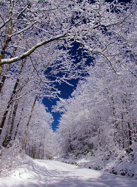 46 Best Snow In North Carolina Mountains Images On Pinterest North