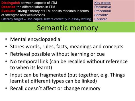 Cognitive Psychology Semantic Long Term Memory Youtube