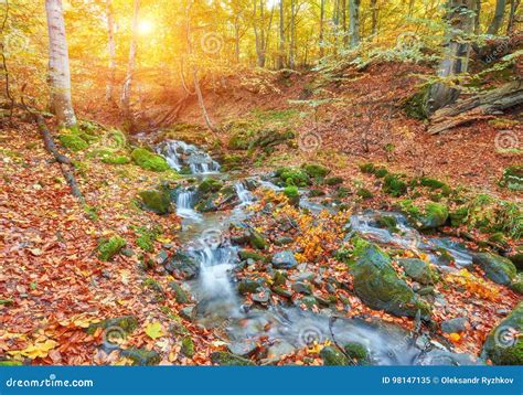 Autumn Stream In The Forest Gold Autumn European Landscape Stock Image