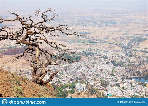 Dry Tree On A Hill Top View Of The Village Stock Image