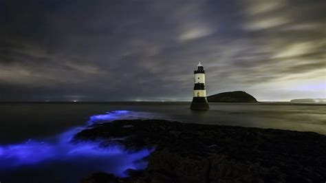 Bing Image Bioluminescence At Trwyn Du Lighthouse In Wales Bing
