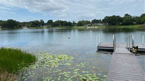 Blue Green Algae Warnings Issued For 4 Central Florida Lakes