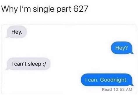 35 Being Single Memes For All Of Us Loners Artofit