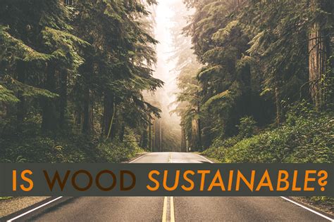 How Sustainable Is Wood