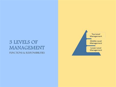 Levels Of Management Definition And Functions Marketing Tutor