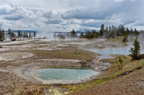 West Thumb Geyser Basin In Yellowstone National Park Usa Stock Photo