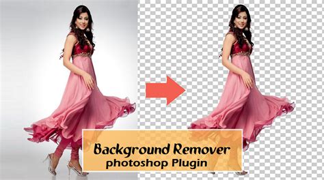 Imageskill Background Remover Advanced Editing Tool