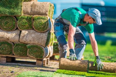 How To Choose Your Landscaping Contractor Wisely Sod Installation