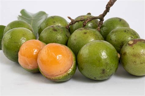 470 Quenepa Fruit Stock Photos Pictures And Royalty Free Images Istock
