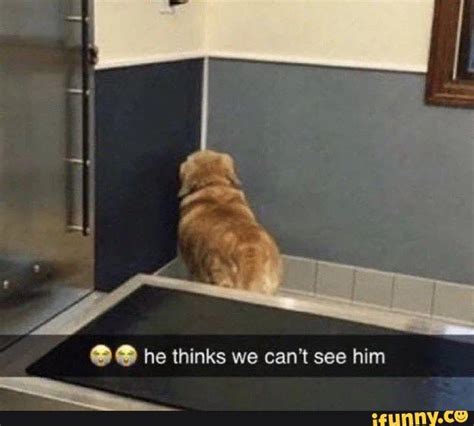 He Thinks We Cant See Him Ifunny