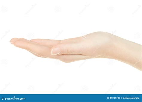 Female Hand Open Palm Up Stock Image Image Of White 41231799