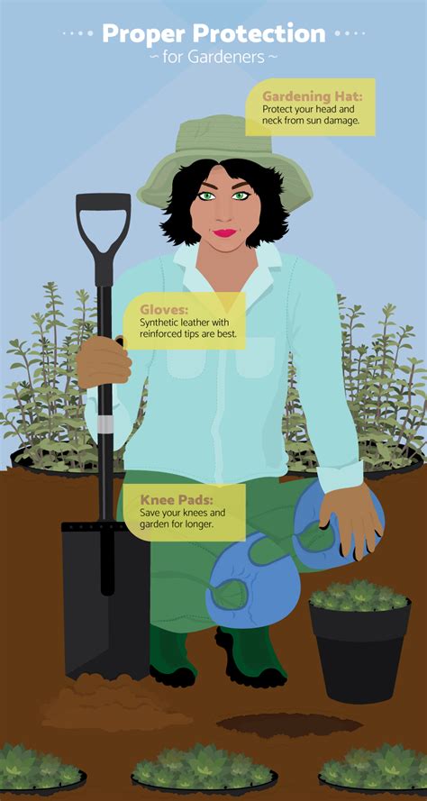 What Gardening Tools A Beginner Needs