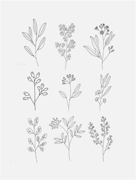 30 Easy Ways To Draw Plants And Leaves Flower Line Drawings Minimal